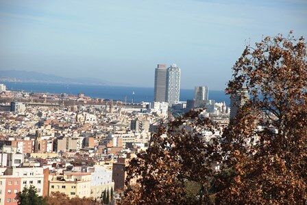 Qué ver en el Museo Nacional de Cataluña de Barcelona (Guía)