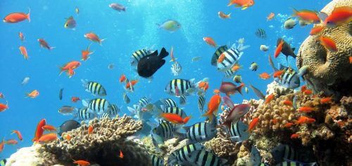 Aquarium de Barcelona en el Port Vell