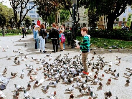 Qué ver en Plaza de Cataluña de Barcelona (Guía)