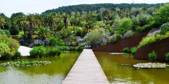 Jardín Botánico de Barcelona en Montjuic