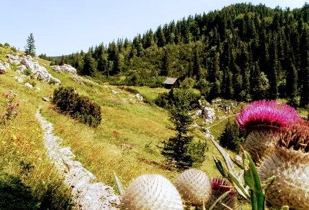Parque Nacional de Velebit norte en Croacia