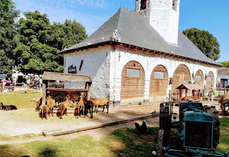 Visitar Pairi Daiza (Bélgica)