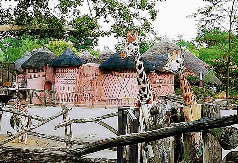 Visitar Pairi Daiza (Bélgica)