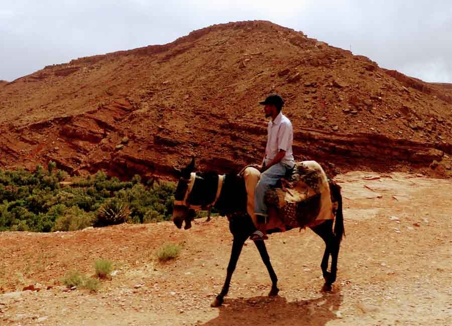 Cómo moverse por Marruecos